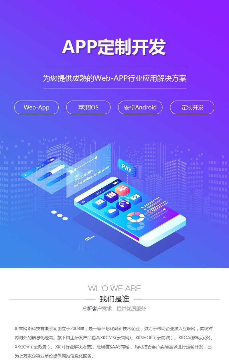 APP定制开发：打造专属您的移动应用